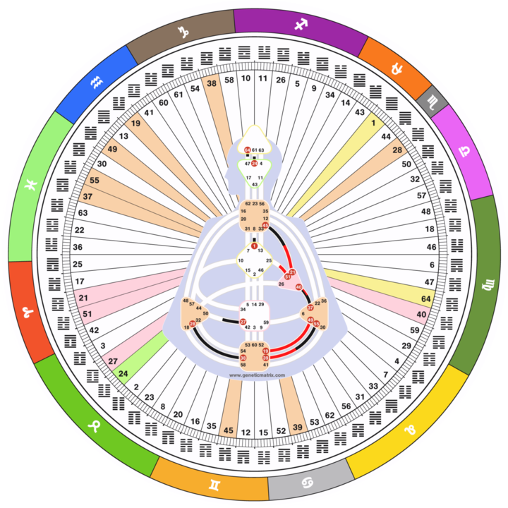 Mandala chart